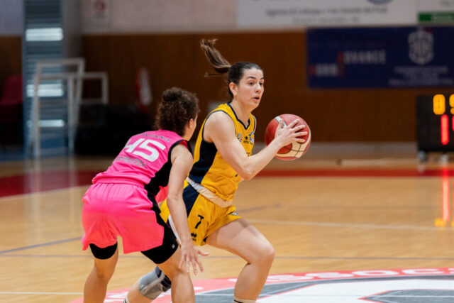 MVFOTO 8 1024x683